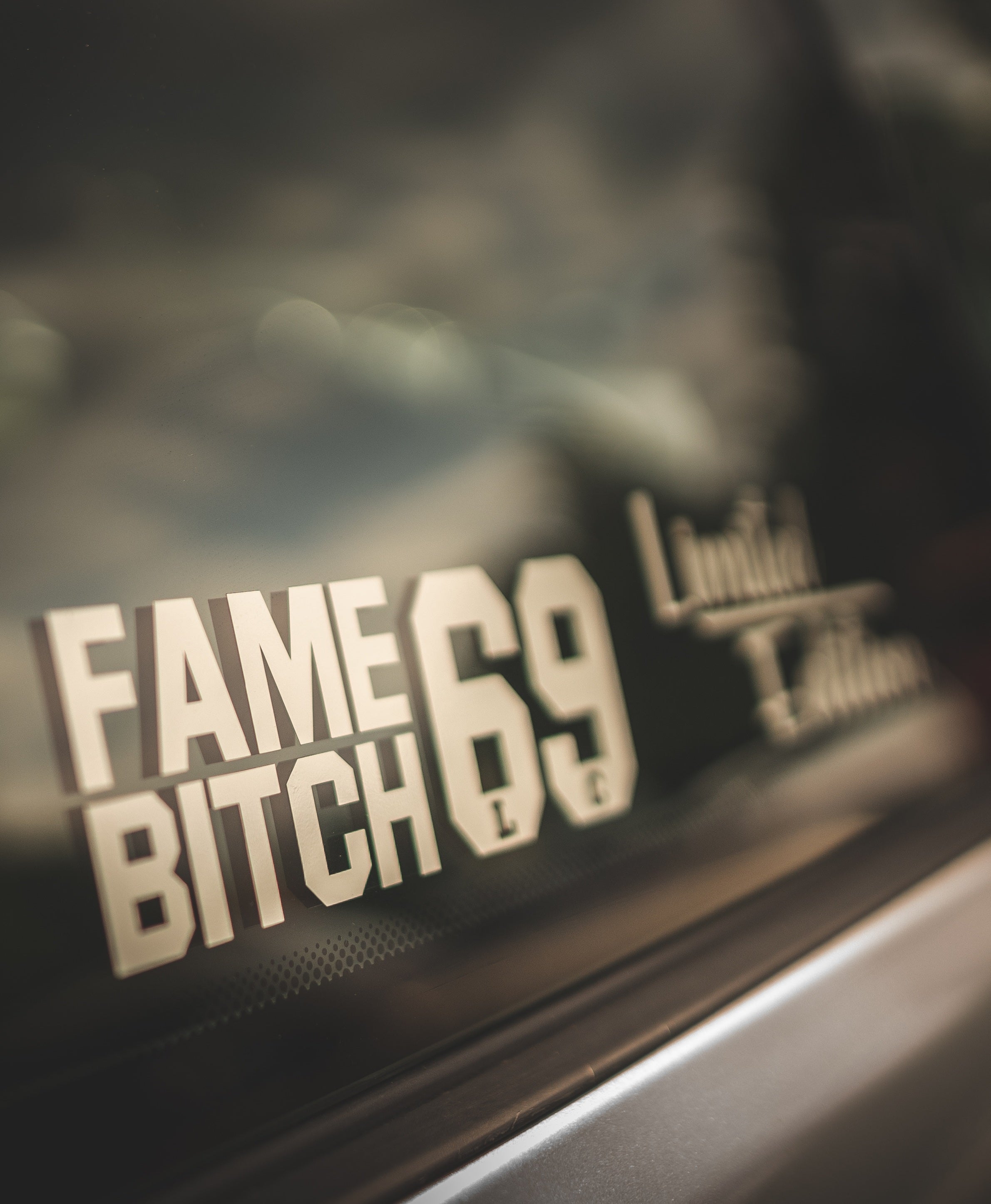 LWSTCRW™ Sticker "FAME BIT**69"