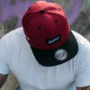 Snapback - 